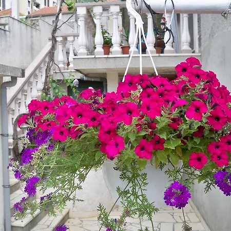 בית הארחה Dubrovnik Rooms דוברובניק