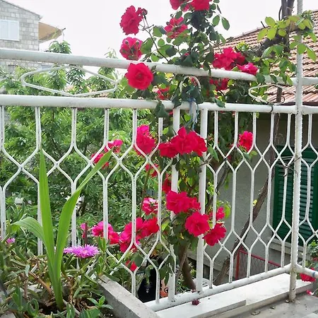 בית הארחה Dubrovnik Rooms