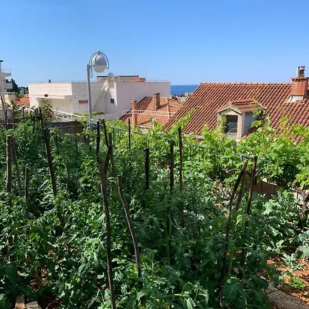 Dubrovnik Rooms דוברובניק