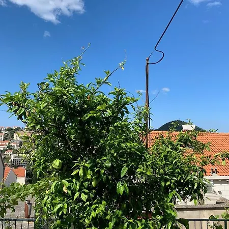 Dubrovnik Rooms 3* דוברובניק