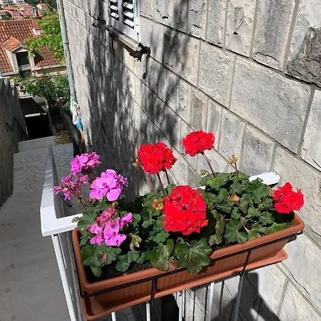 Maison d'hôtes Dubrovnik Rooms
